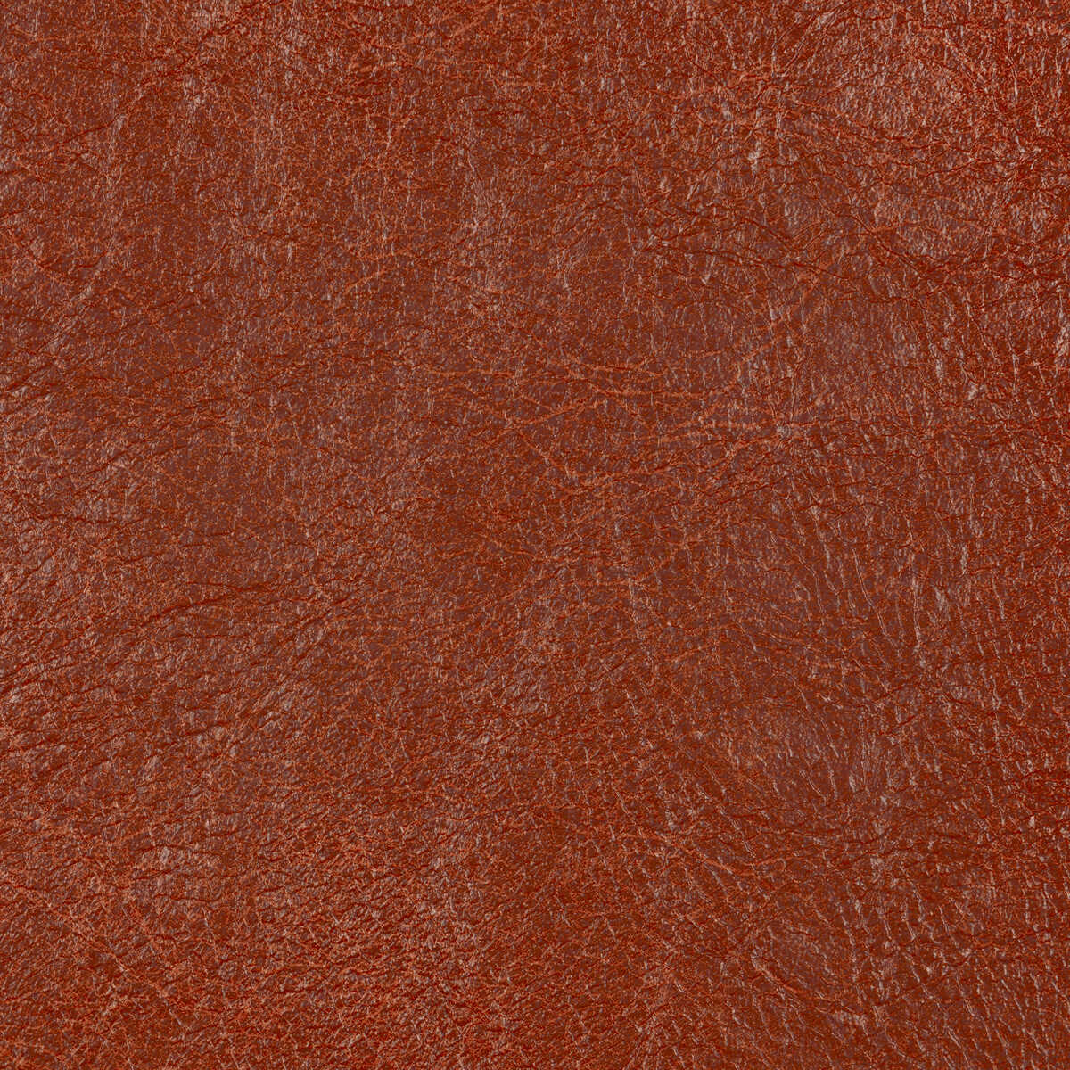 Reboot - Cinnabar - KRAVET CONTRACT Tela
