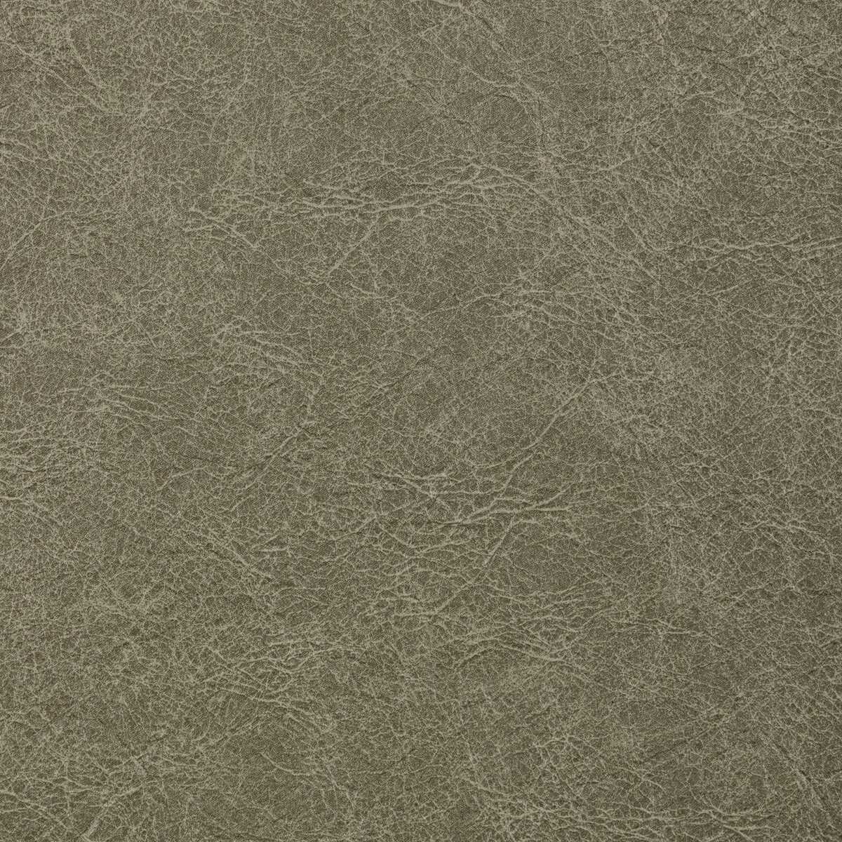 Reboot - Crocodile - KRAVET CONTRACT Fabric