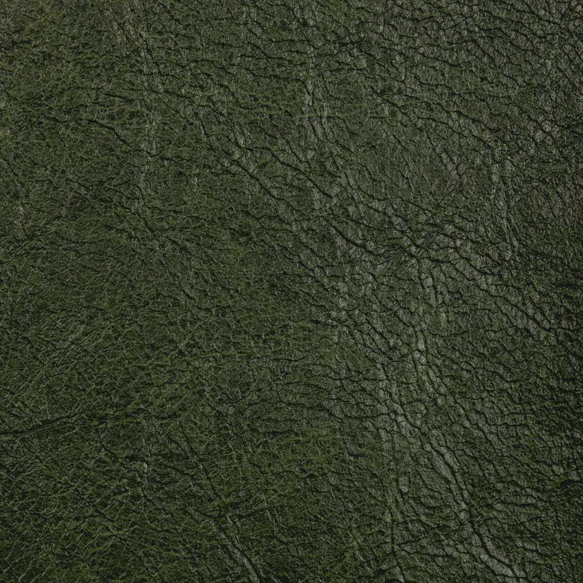 Reboot - Arbor - KRAVET CONTRACT Fabric