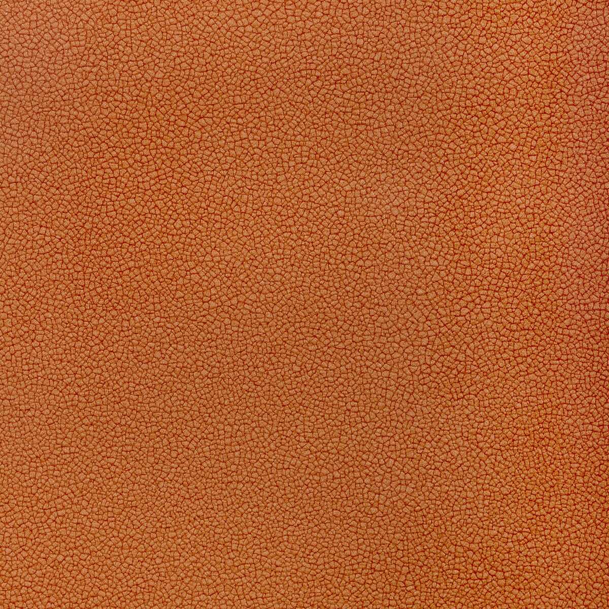 Reset - Canyon - KRAVET CONTRACT Tela