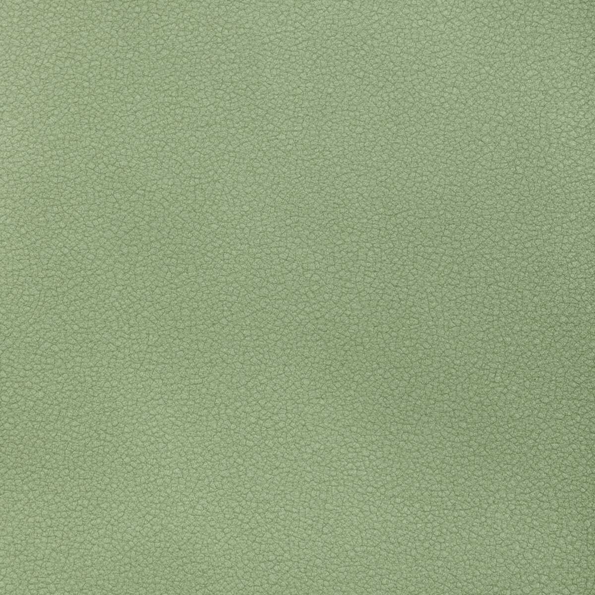 Reset - Spearmint - KRAVET CONTRACT Fabric