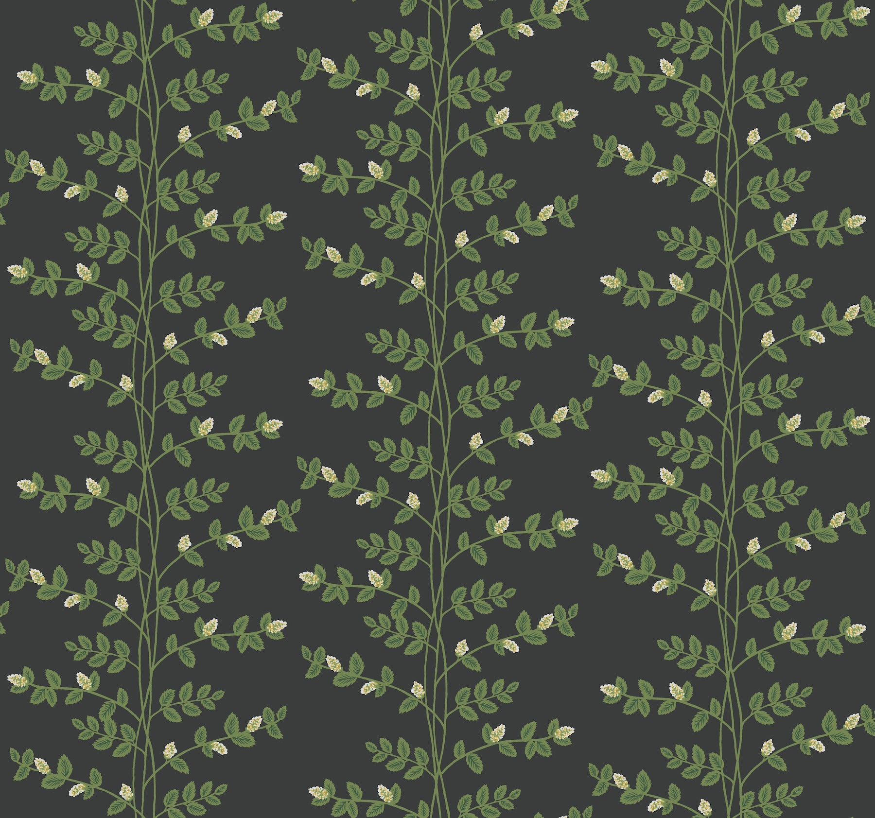 climbing-vine-wallpaper-black-york-wallcoverings-rf7422
