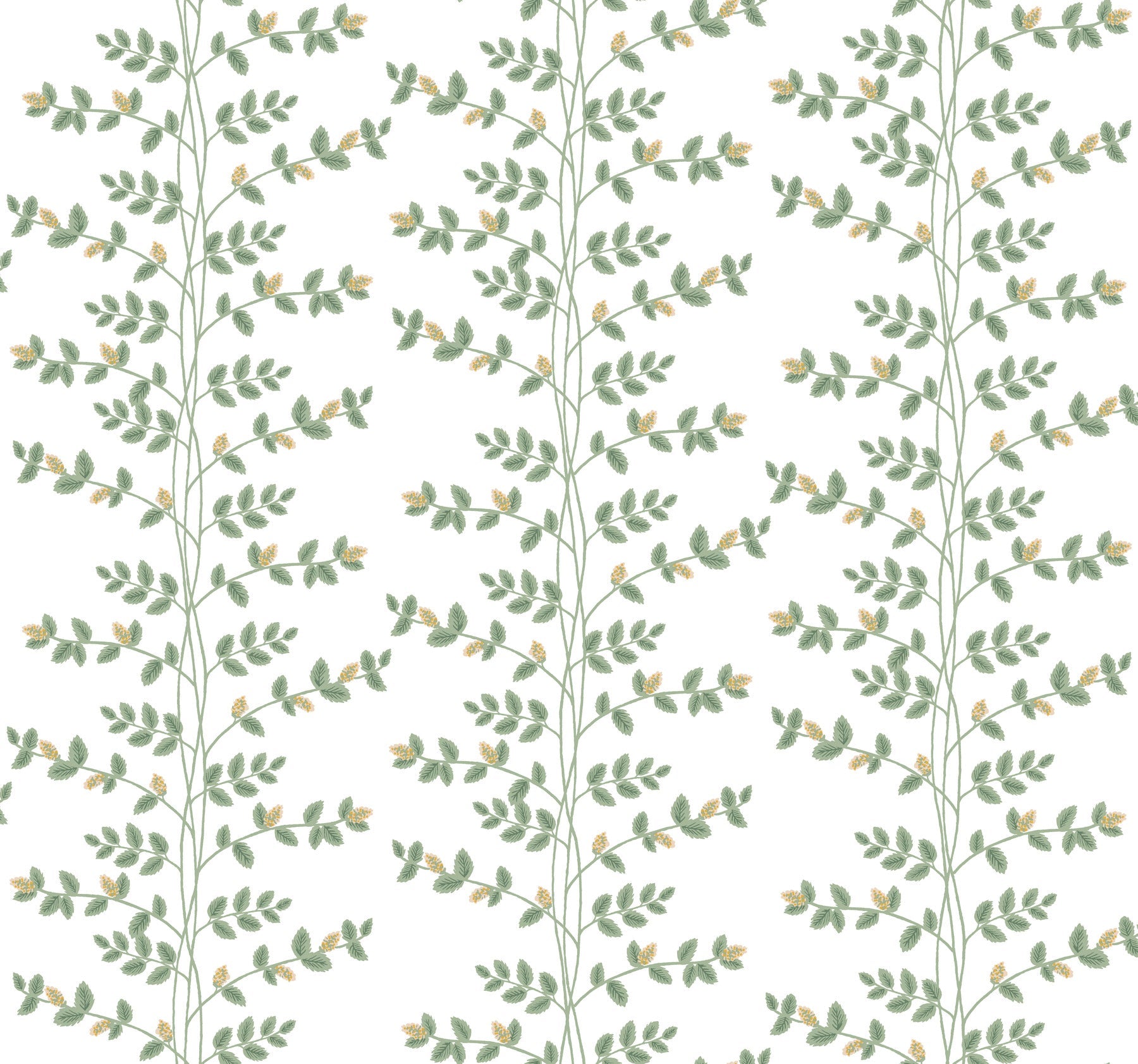 climbing-vine-wallpaper-white-gold-york-wallcoverings-rf7424