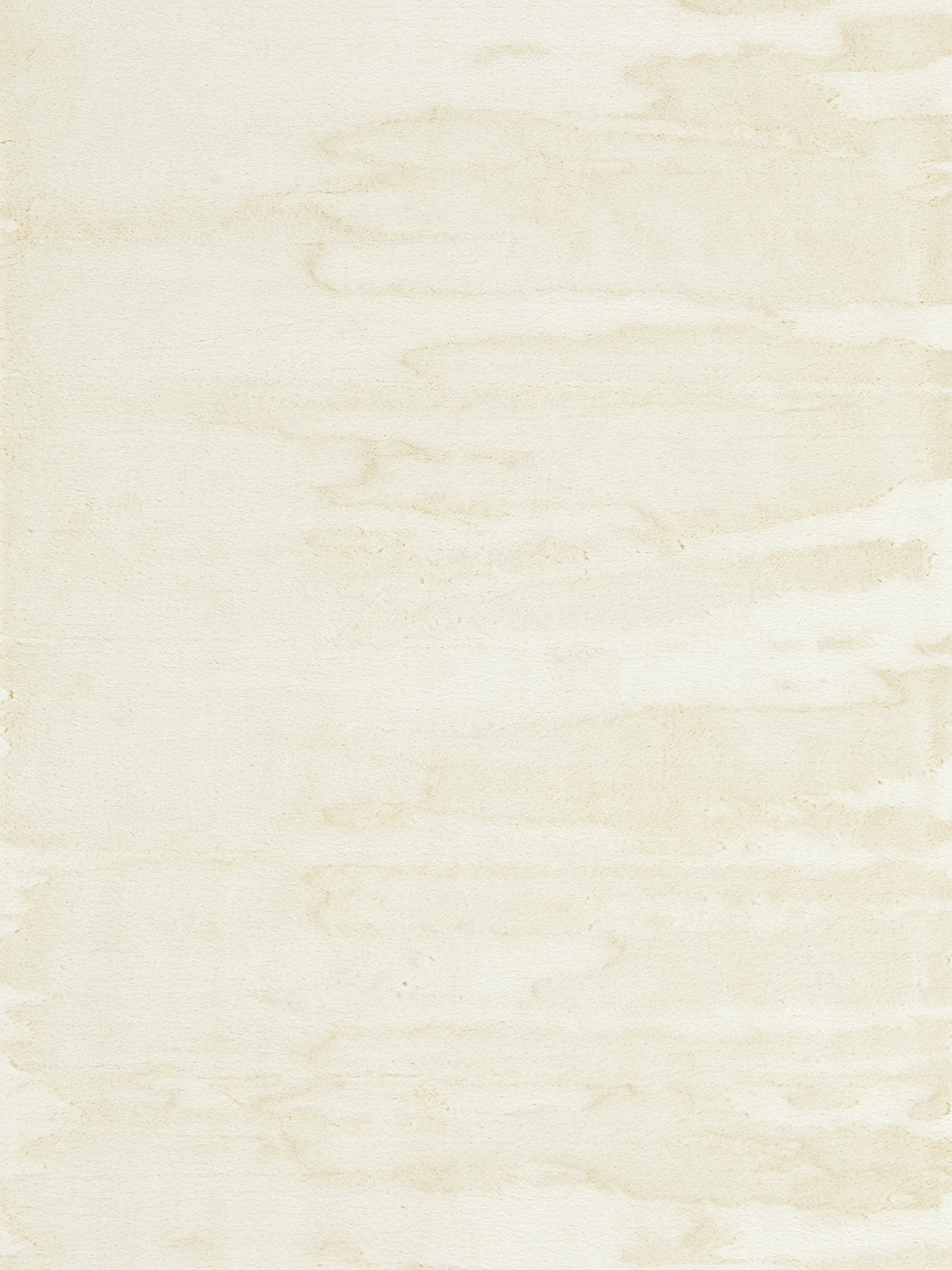 Polar Bear - Arctic