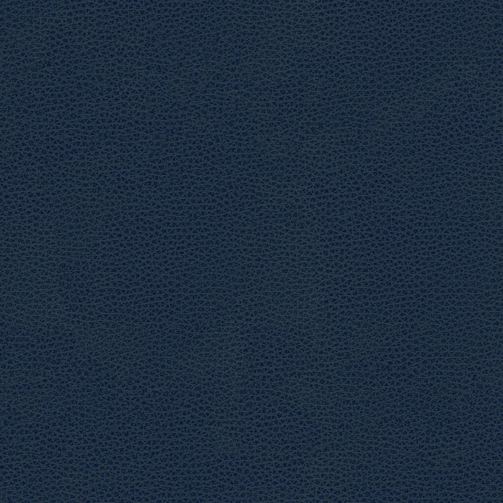 Kravet Design - Rigel-5