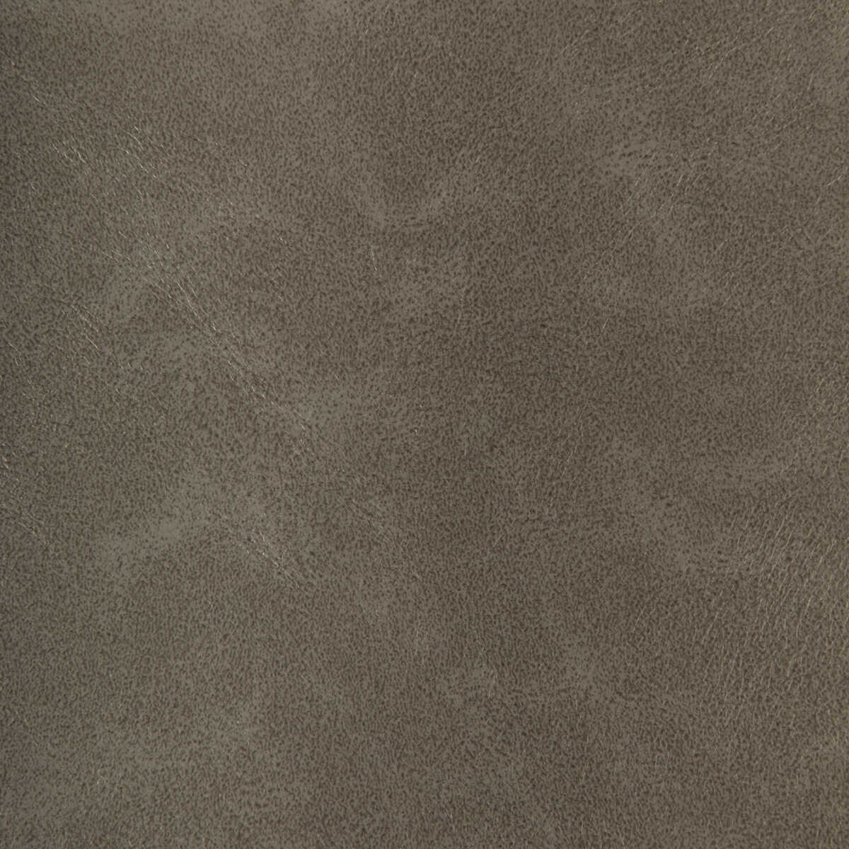Kravet Design - Rind-11 - KRAVET DESIGN Tela