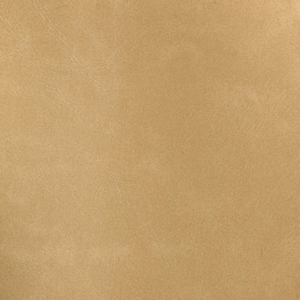 Kravet Design - Rind-16 - KRAVET DESIGN Tela