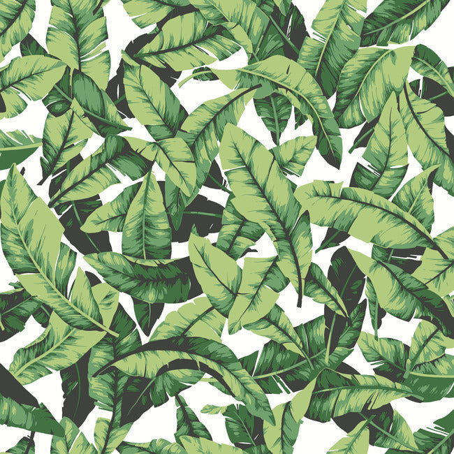palm-peel-and-stick-wallpaper-green-york-wallcoverings-rmk11045wp