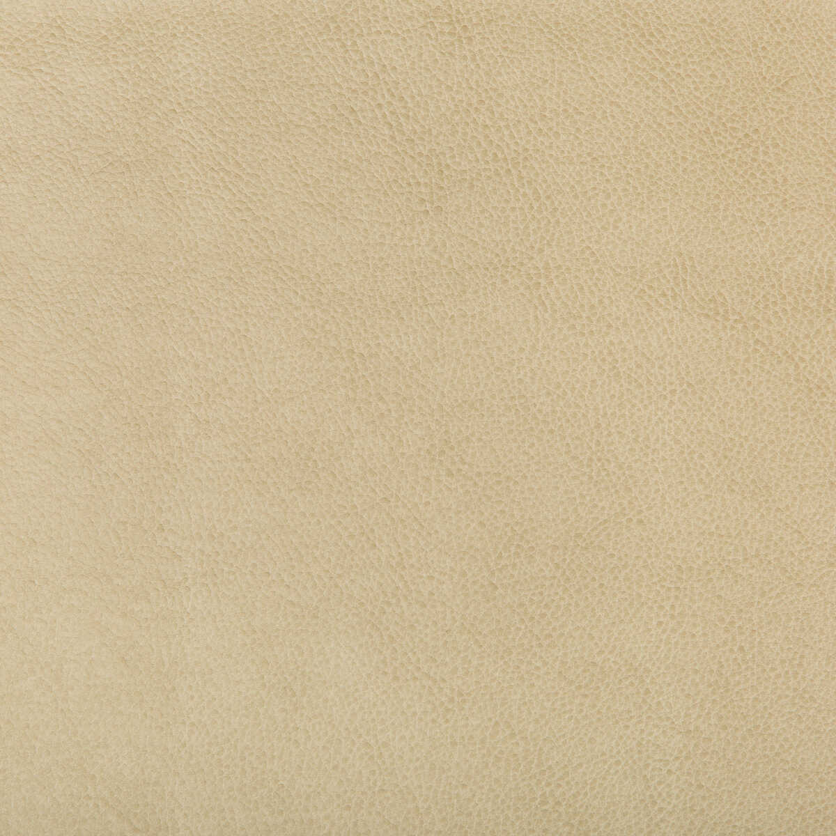 Kravet Design - Ruffian-16