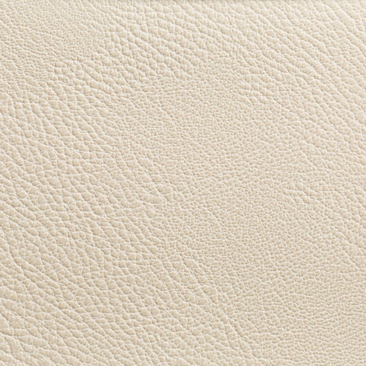 Rustler - Gypsum