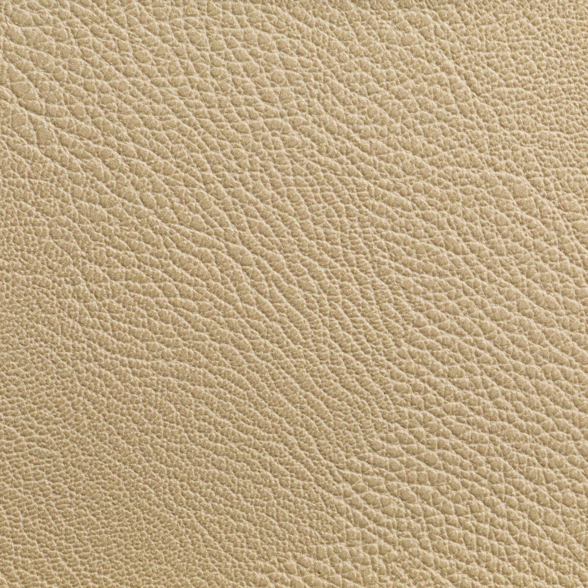 Rustler - Wheat
