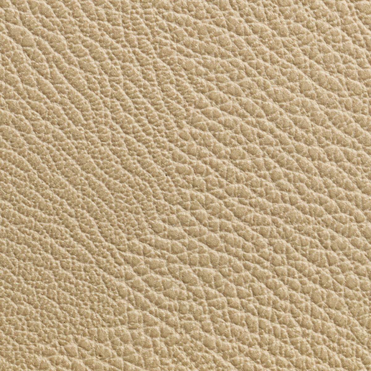 Rustler - Wheat - KRAVET CONTRACT Fabric