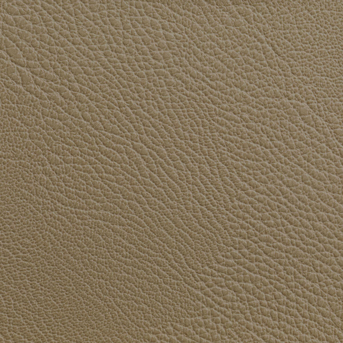 Rustler - Cashew - KRAVET CONTRACT Fabric