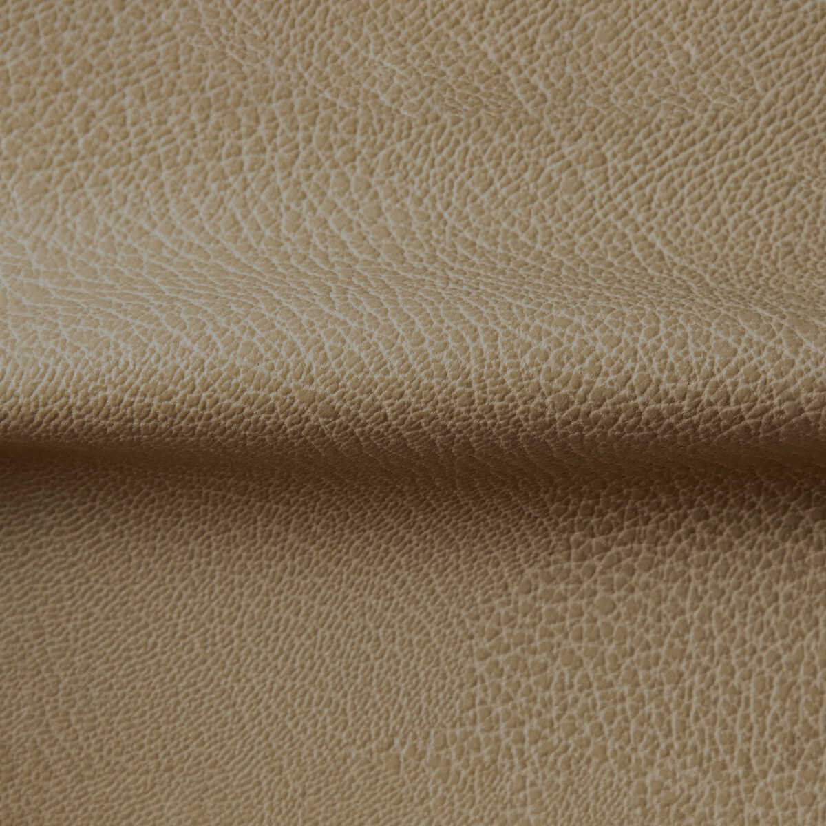 Rustler - Cashew - KRAVET CONTRACT Fabric