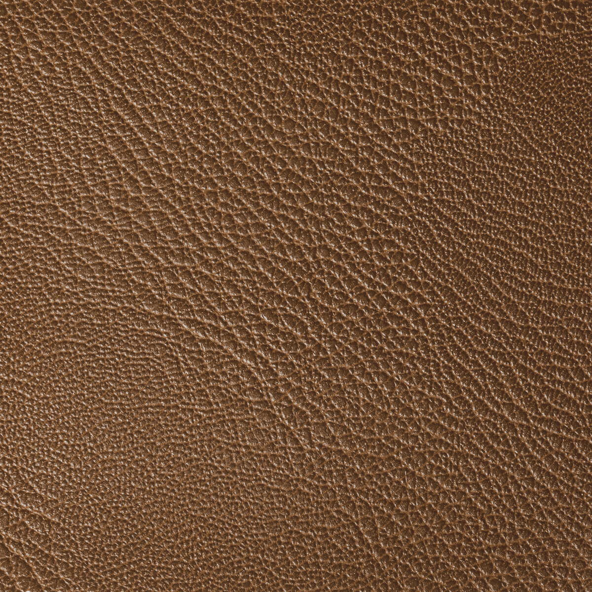 Rustler - Saddle - KRAVET CONTRACT Fabric