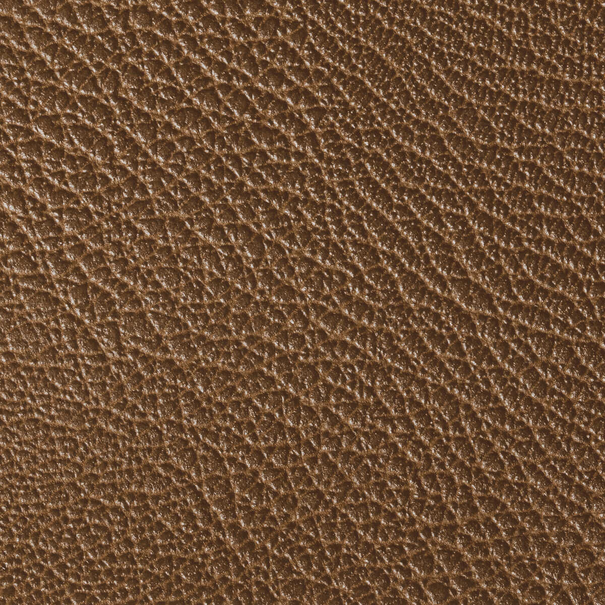 Rustler - Saddle - KRAVET CONTRACT Fabric