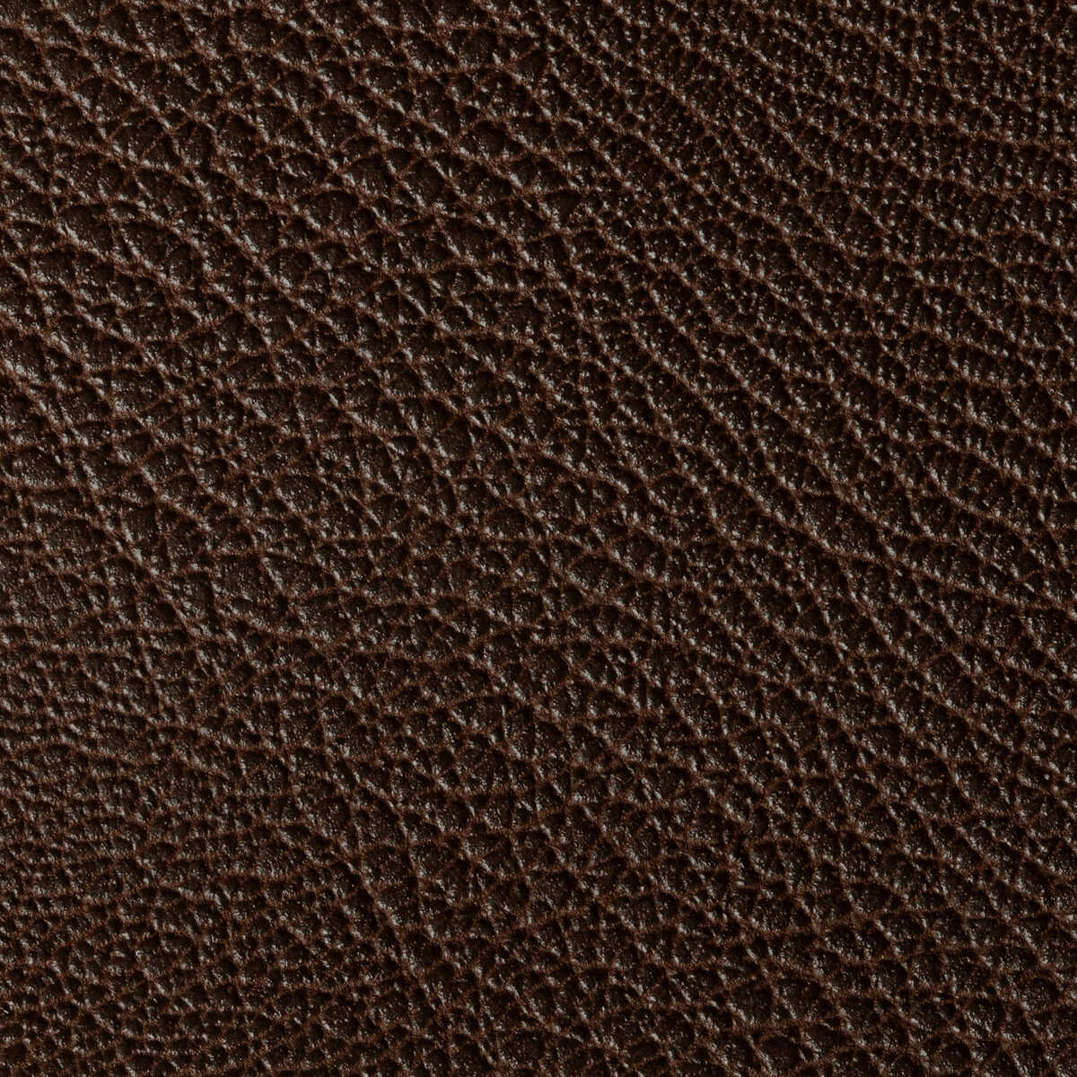 Rustler - Bark - KRAVET CONTRACT Fabric