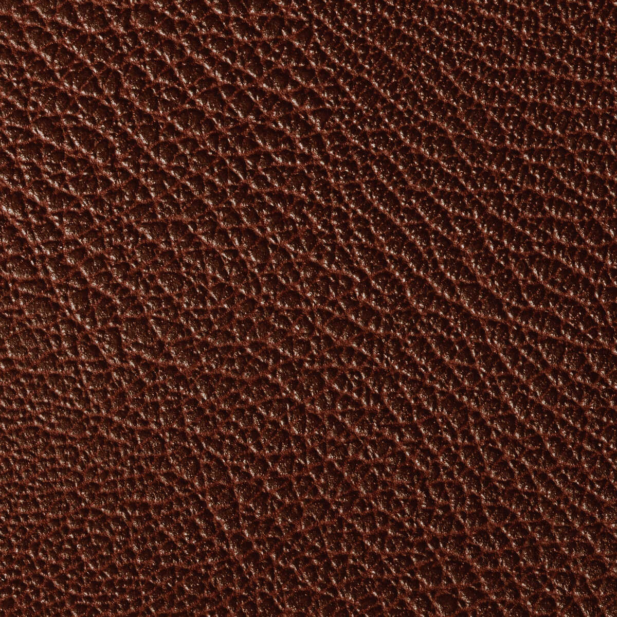 Rustler - Port - KRAVET CONTRACT Fabric