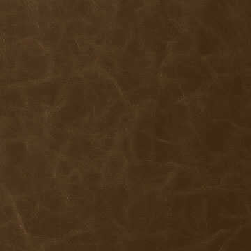 Santina - Walnut - KRAVET CONTRACT Fabric
