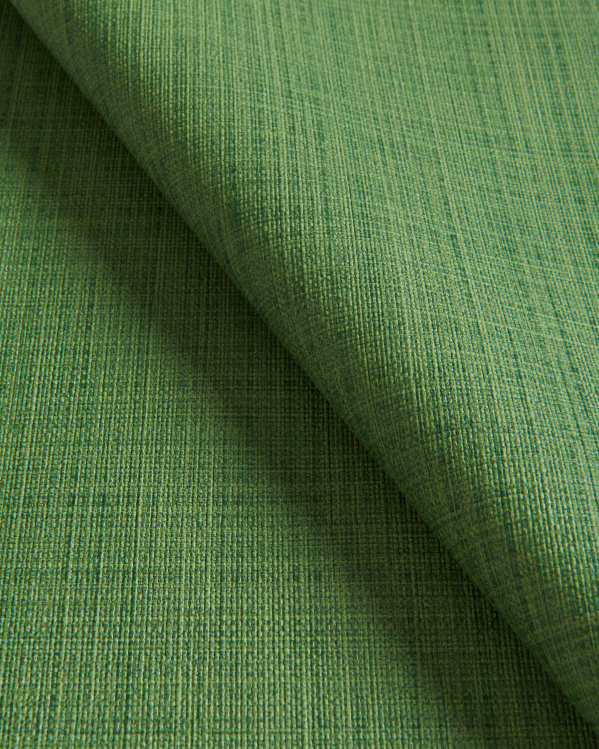 Scrimshaw - Cactus - KRAVET CONTRACT Tela