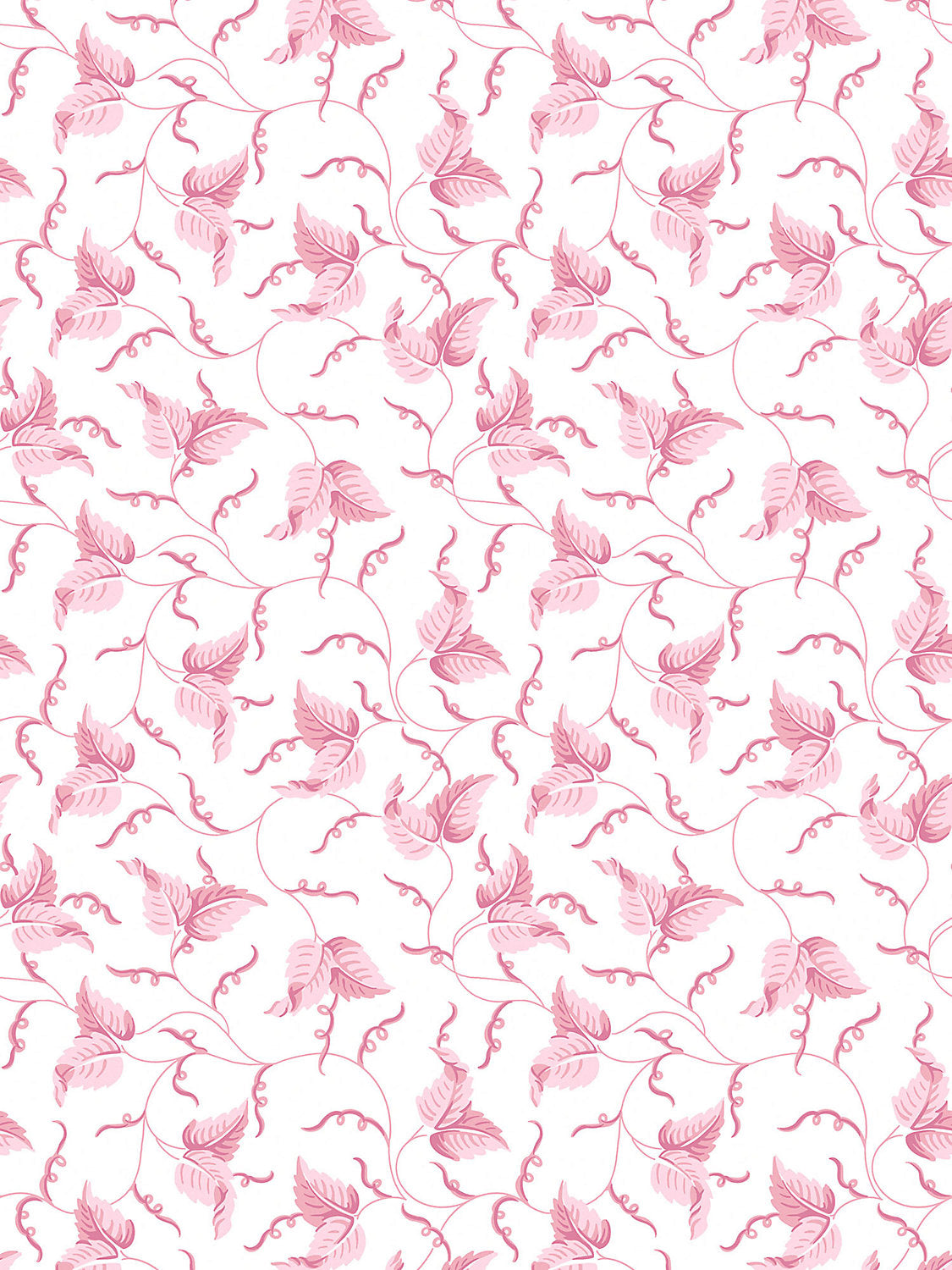 Angle Leaf Wallcovering - Peony - Scalamandre Wallpaper