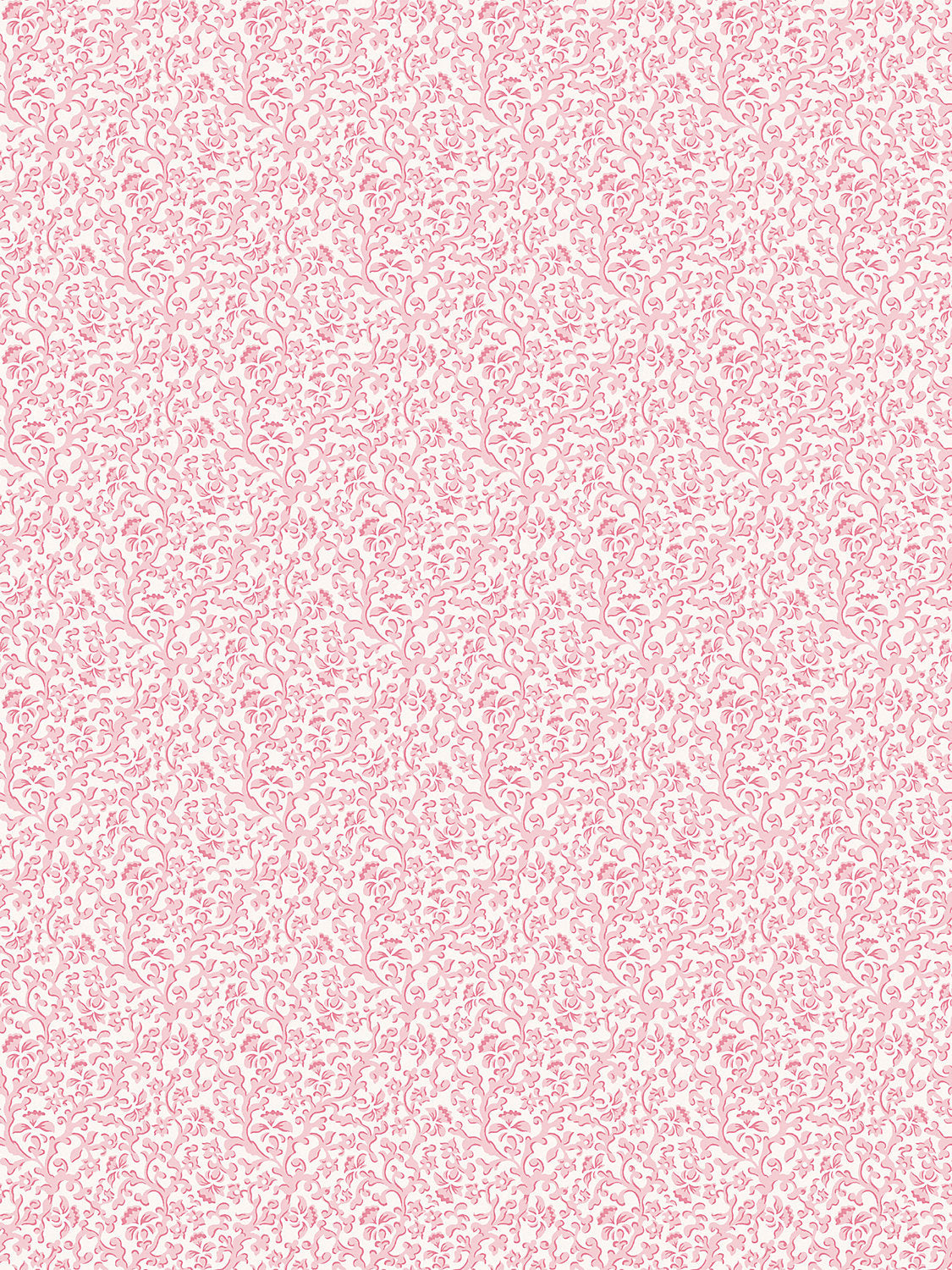 Bandbox Wallcovering - Posey - Scalamandre Wallpaper