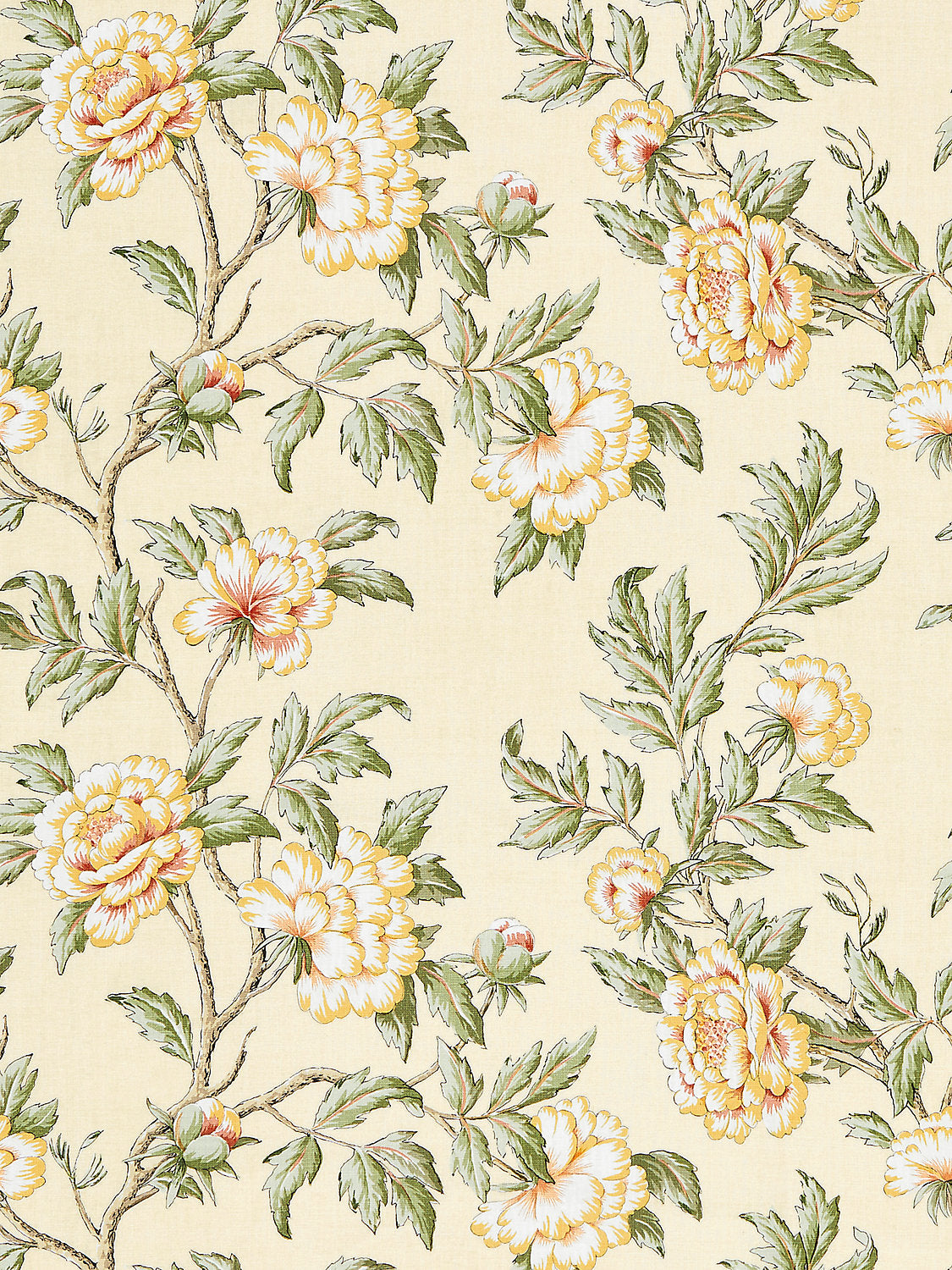 Peonia Linen Print - Sunlight - Scalamandre Fabric