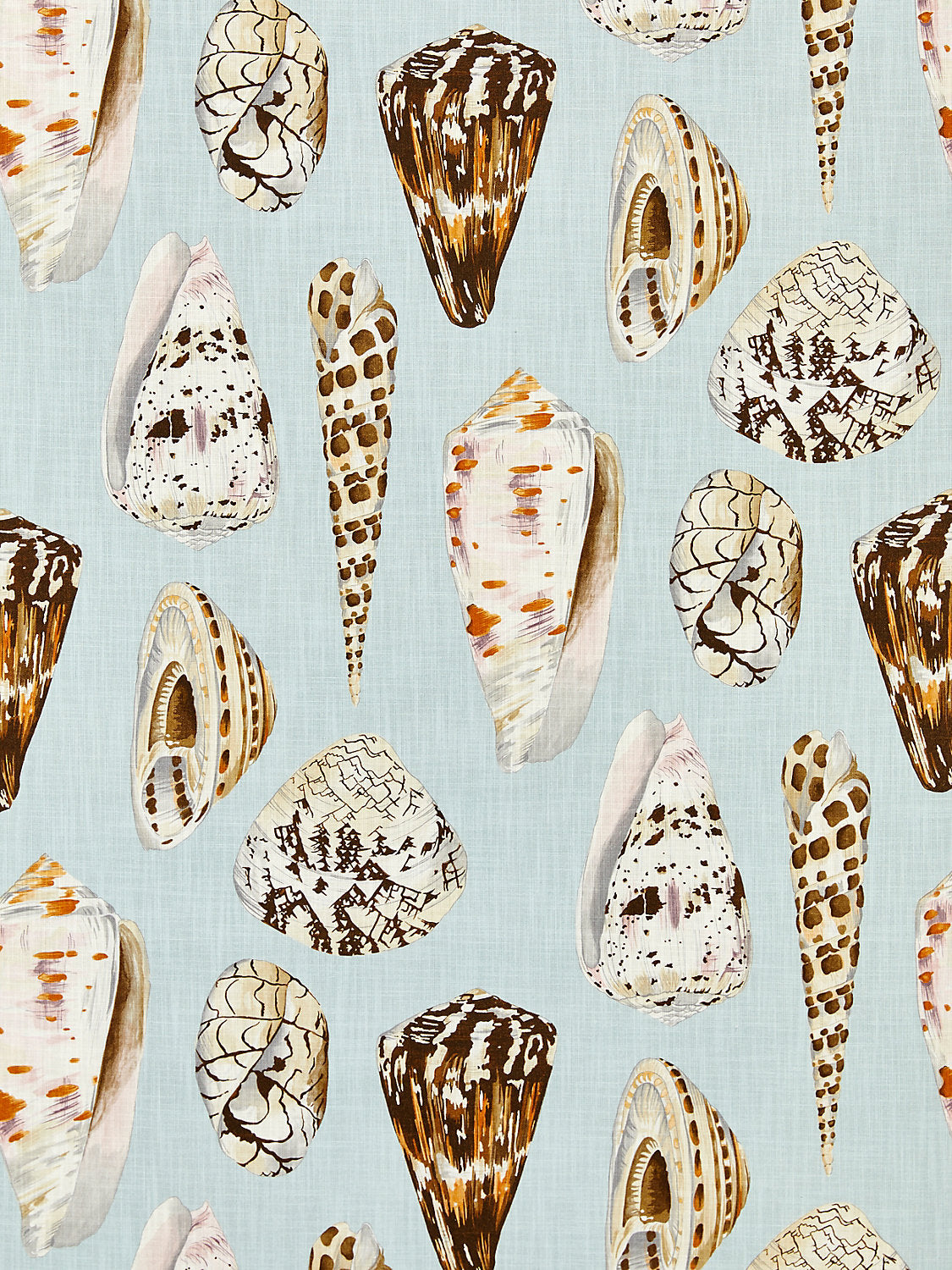 Coquina | Outdoor - Multi On Sea Blue