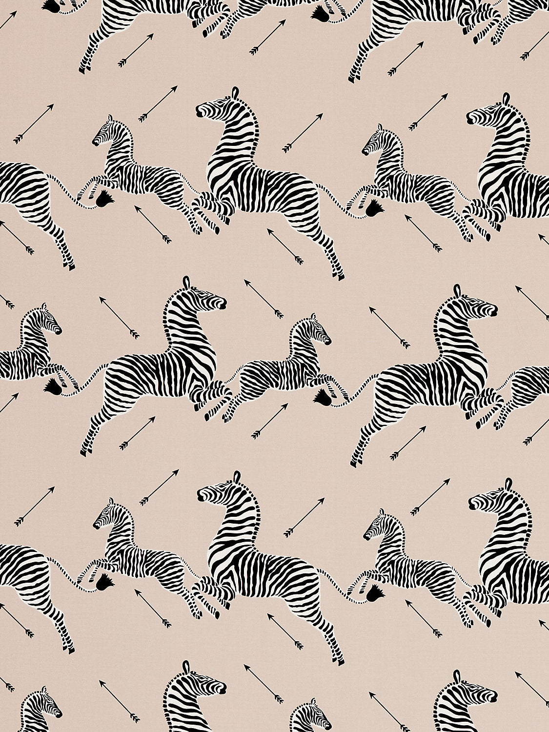 Zebras Petite - Sand