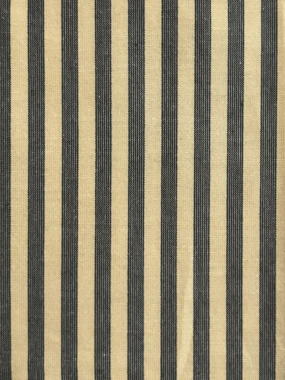 Directoire - Iron Grey & Beige - Scalamandre Fabric