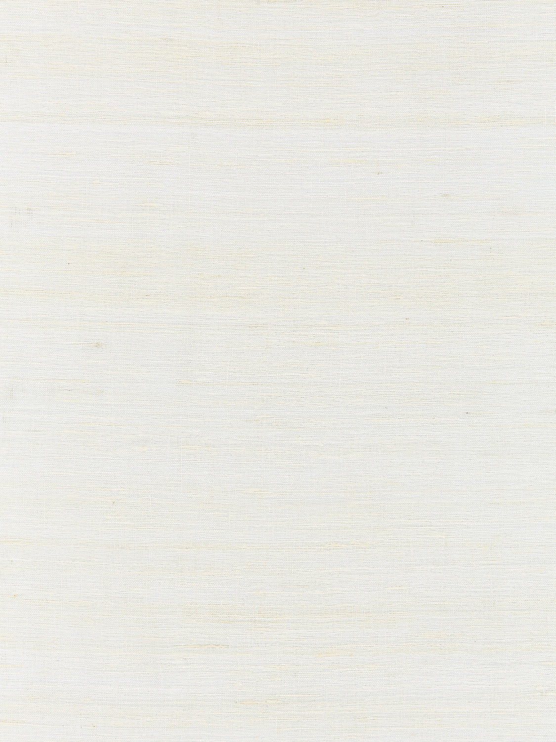Tussah Sheer - Ivory - Scalamandre Fabric