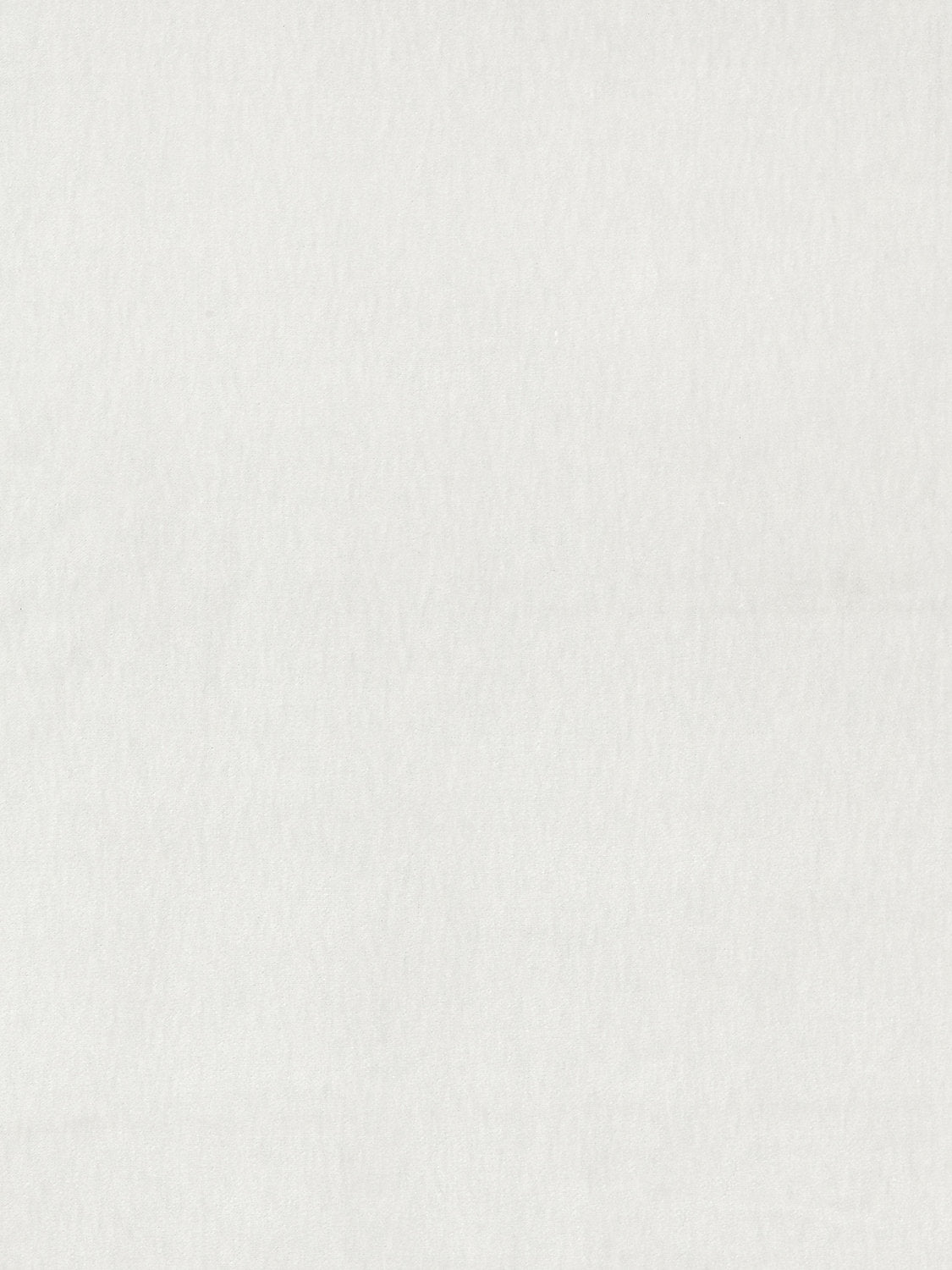 Bay Velvet | Outdoor - Oyster - Scalamandre Fabric
