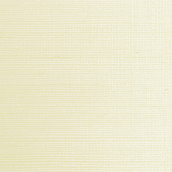Sisal Metallic - Platinum - Scalamandre Wallpaper