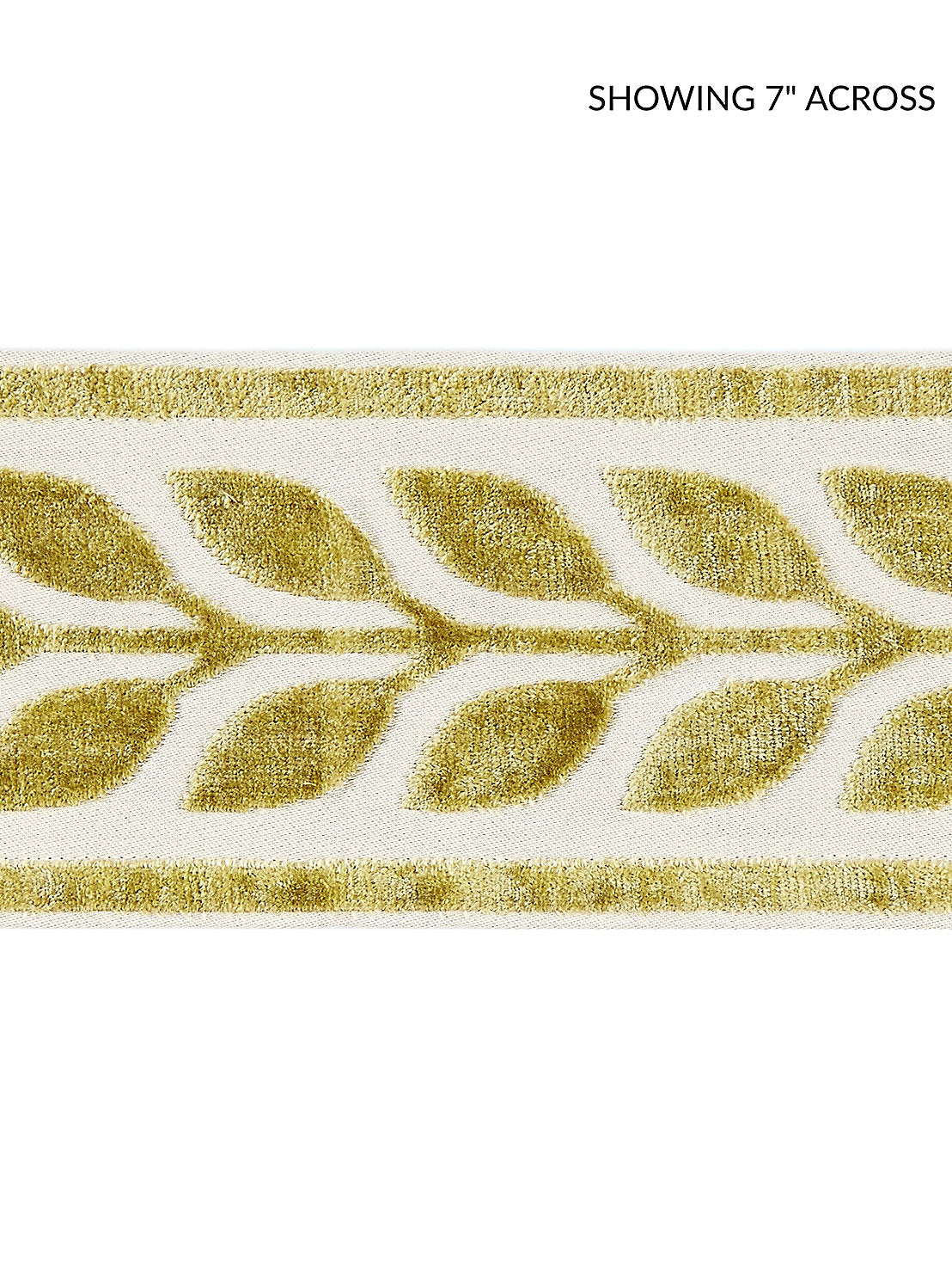 Vigne Velvet Tape - Vert - Scalamandre Trim