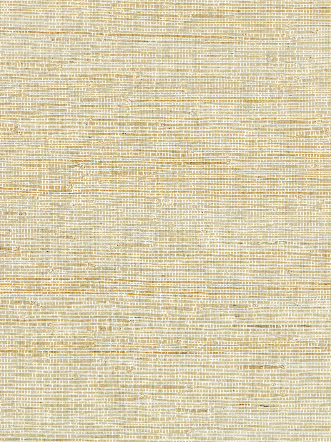 Textured Sisal - White Sand