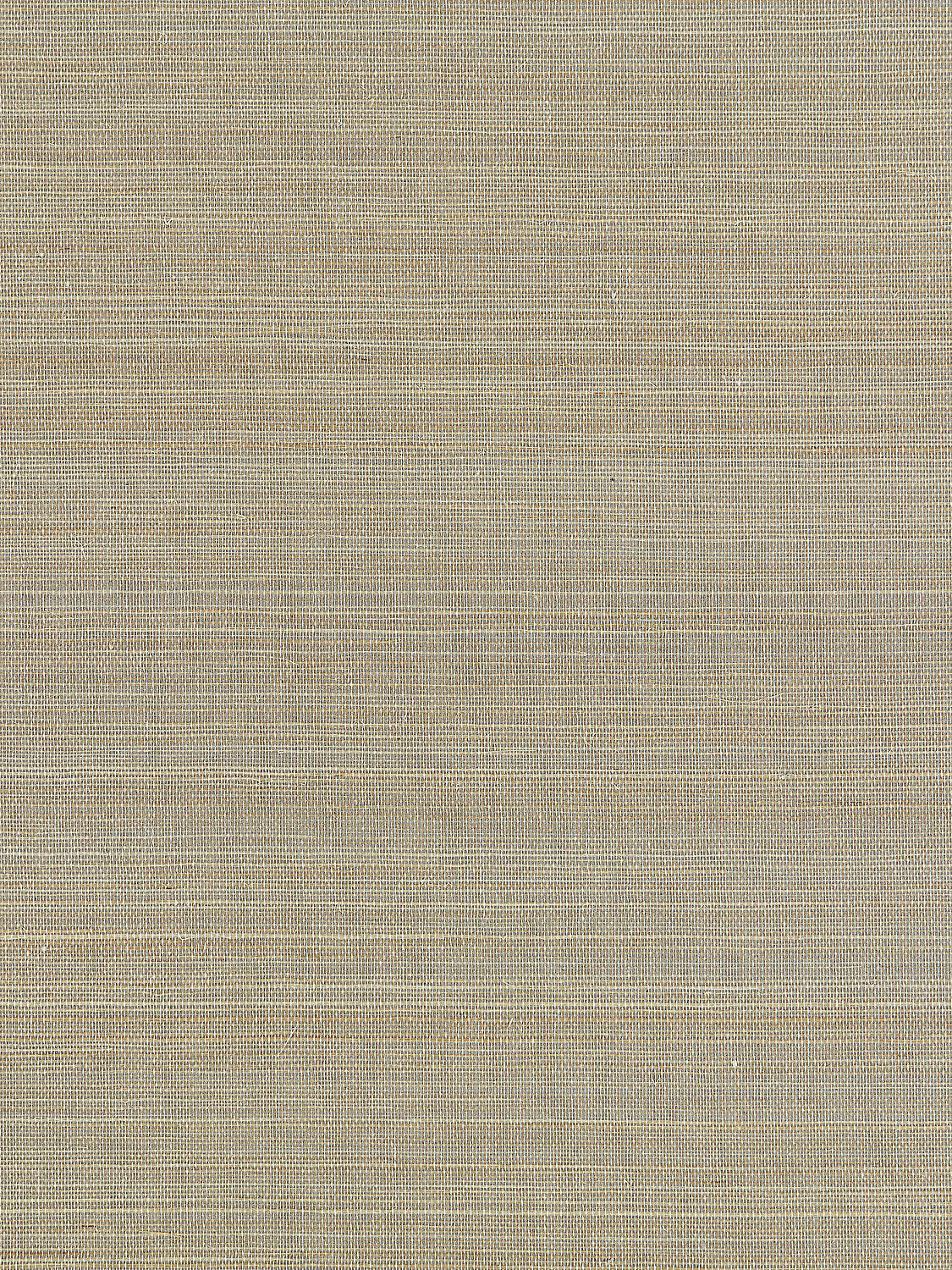 Shantung Grasscloth - Dove