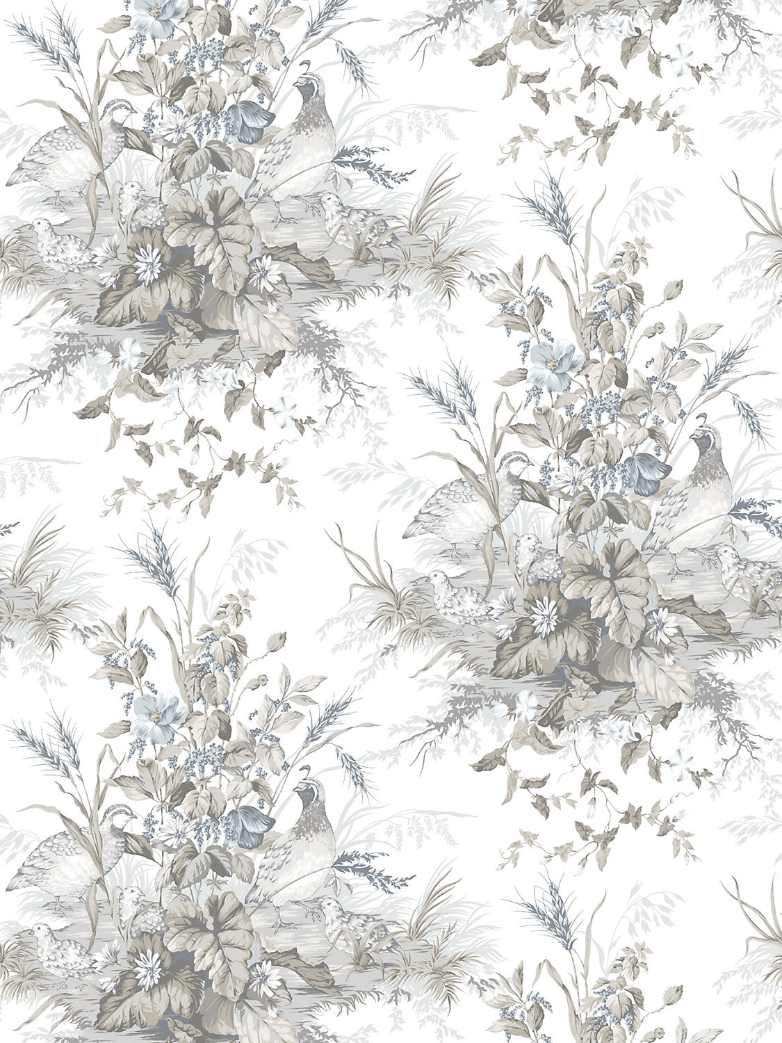 Edwin'S Covey - Grisaille