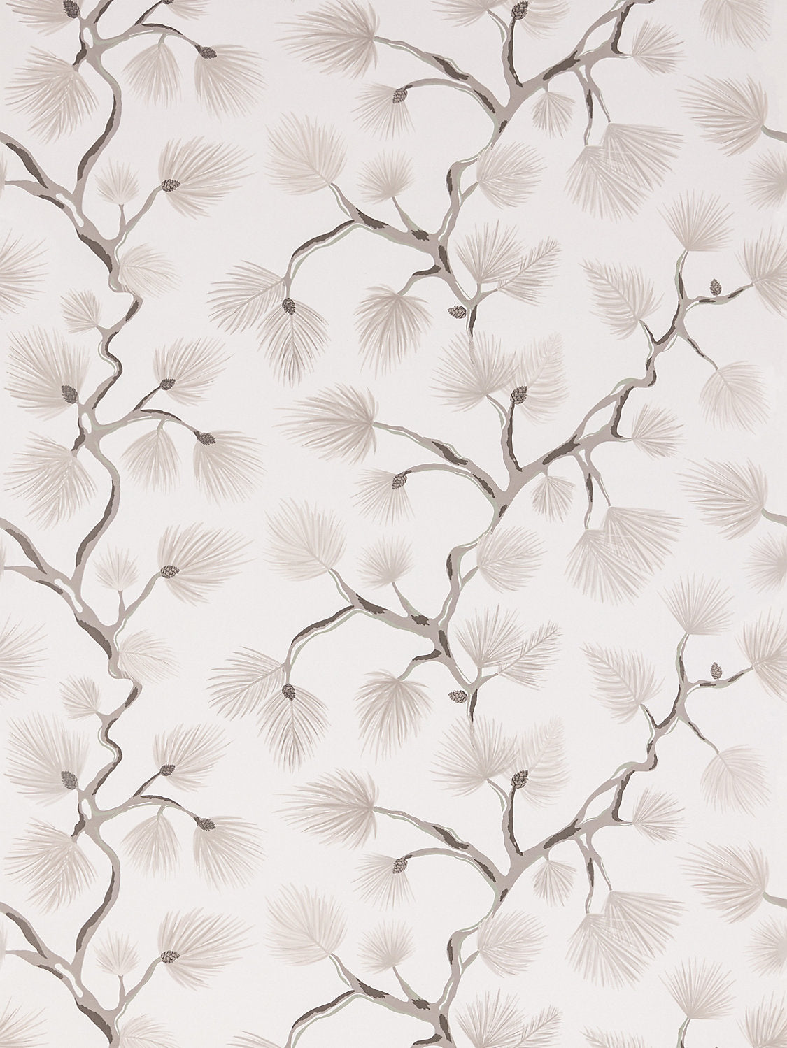 Pignoli Wallcovering - Snow - Scalamandre Wallpaper