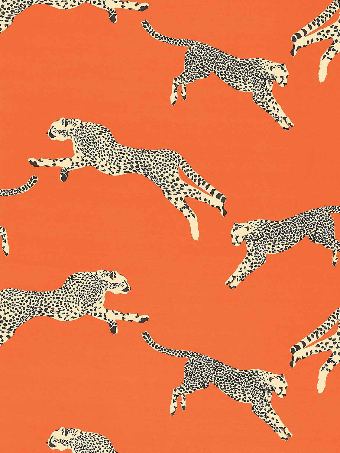 Leaping Cheetah Cotton Print - Clementine by Scalamandre Fabric