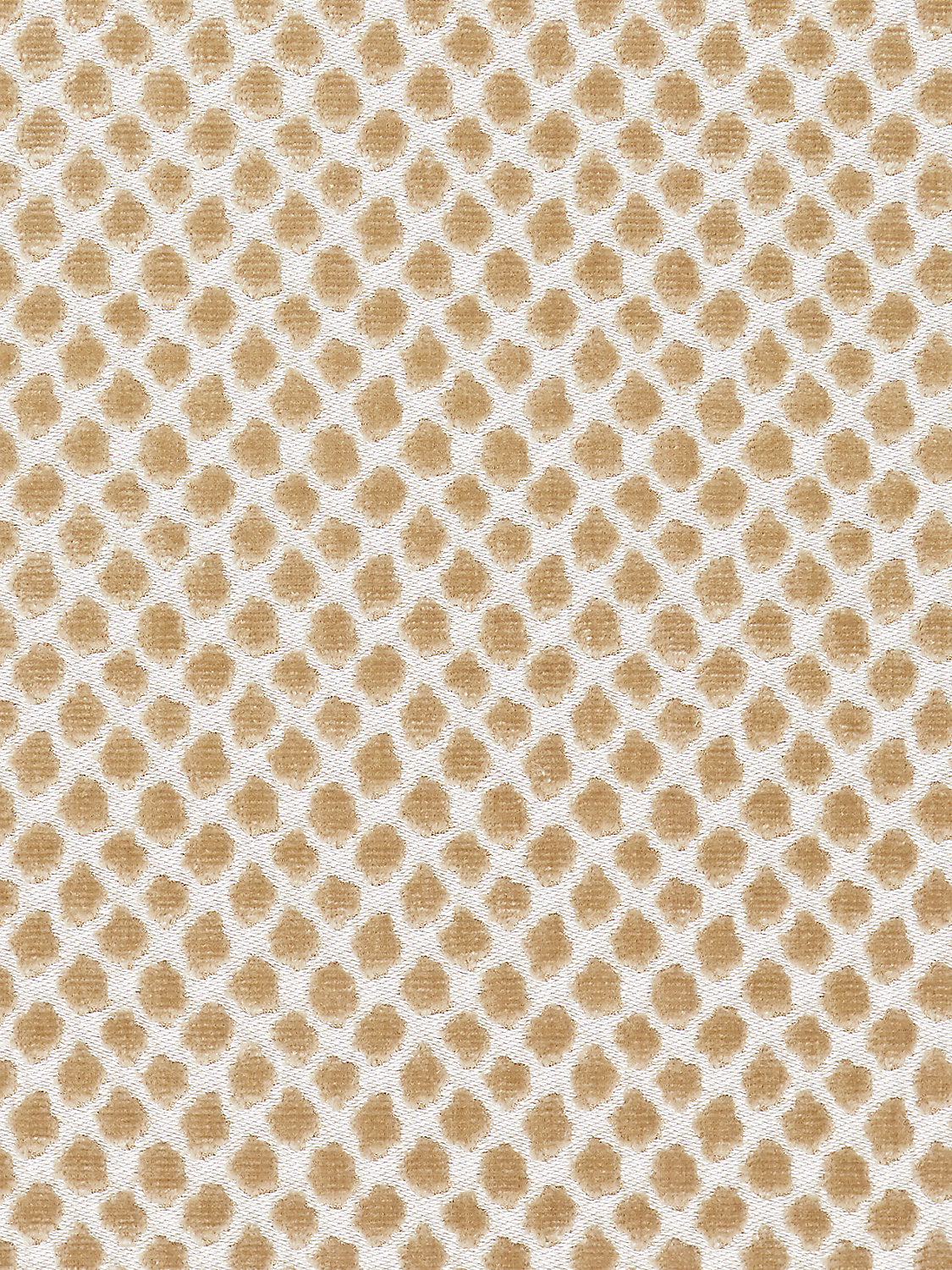 Etosha Velvet - Sand