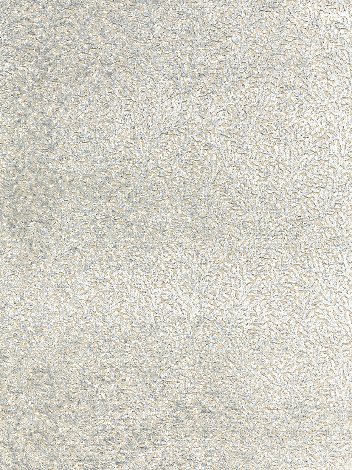 Corallina Velvet - Blue Mist