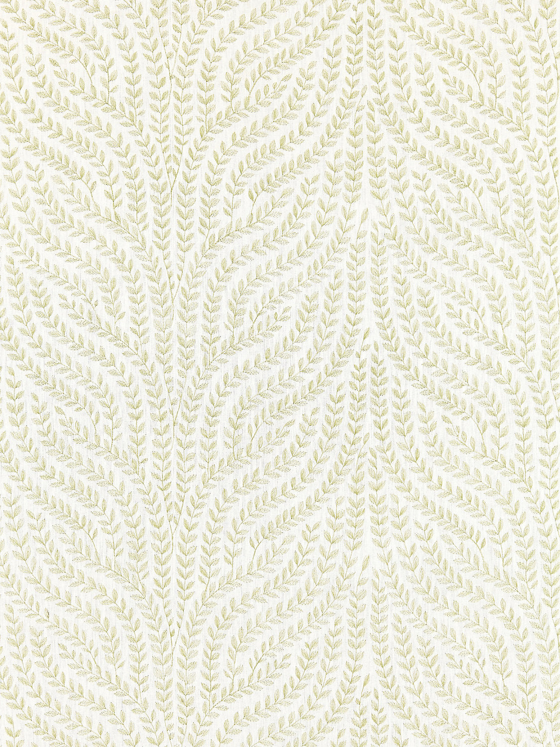 Willow Vine Embroidery - Celery - Scalamandre Fabric