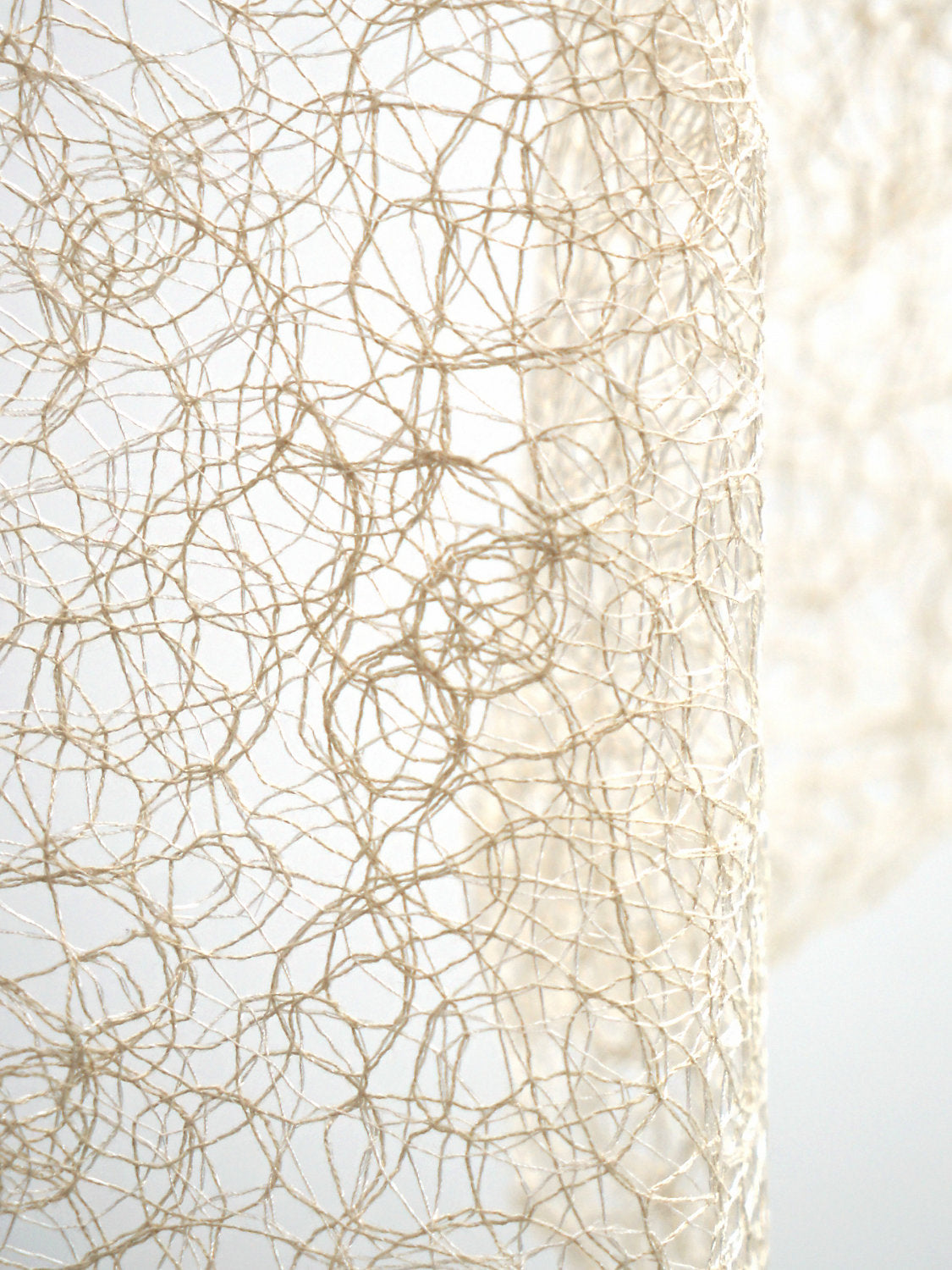 Modern Lace - Champagne - Scalamandre Fabric