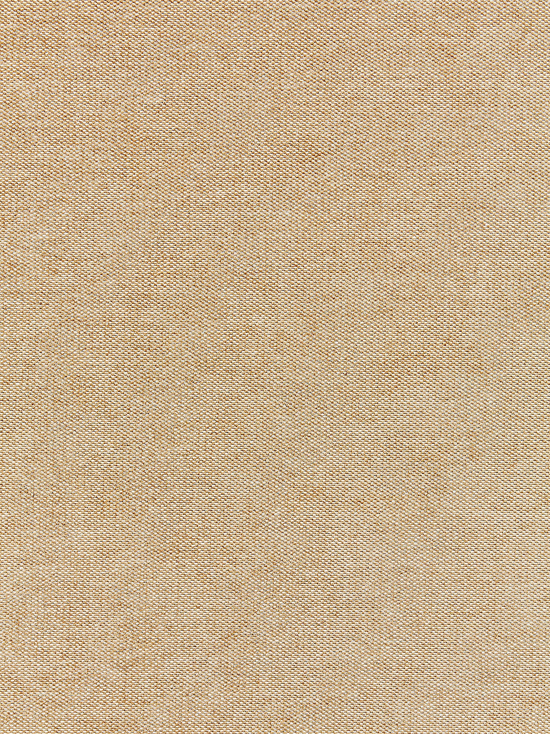 Luna Weave - Champagne - Scalamandre Fabric