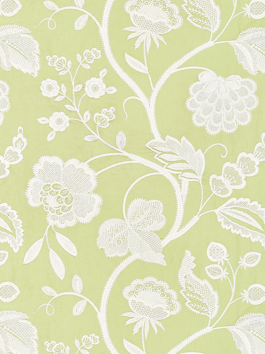 Kensington Embroidery - Celery - Scalamandre Fabric