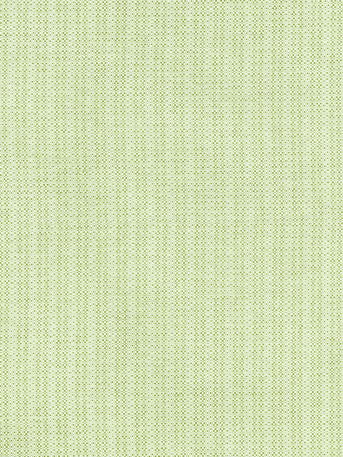 Tahiti Tweed - Palm - Scalamandre Fabric