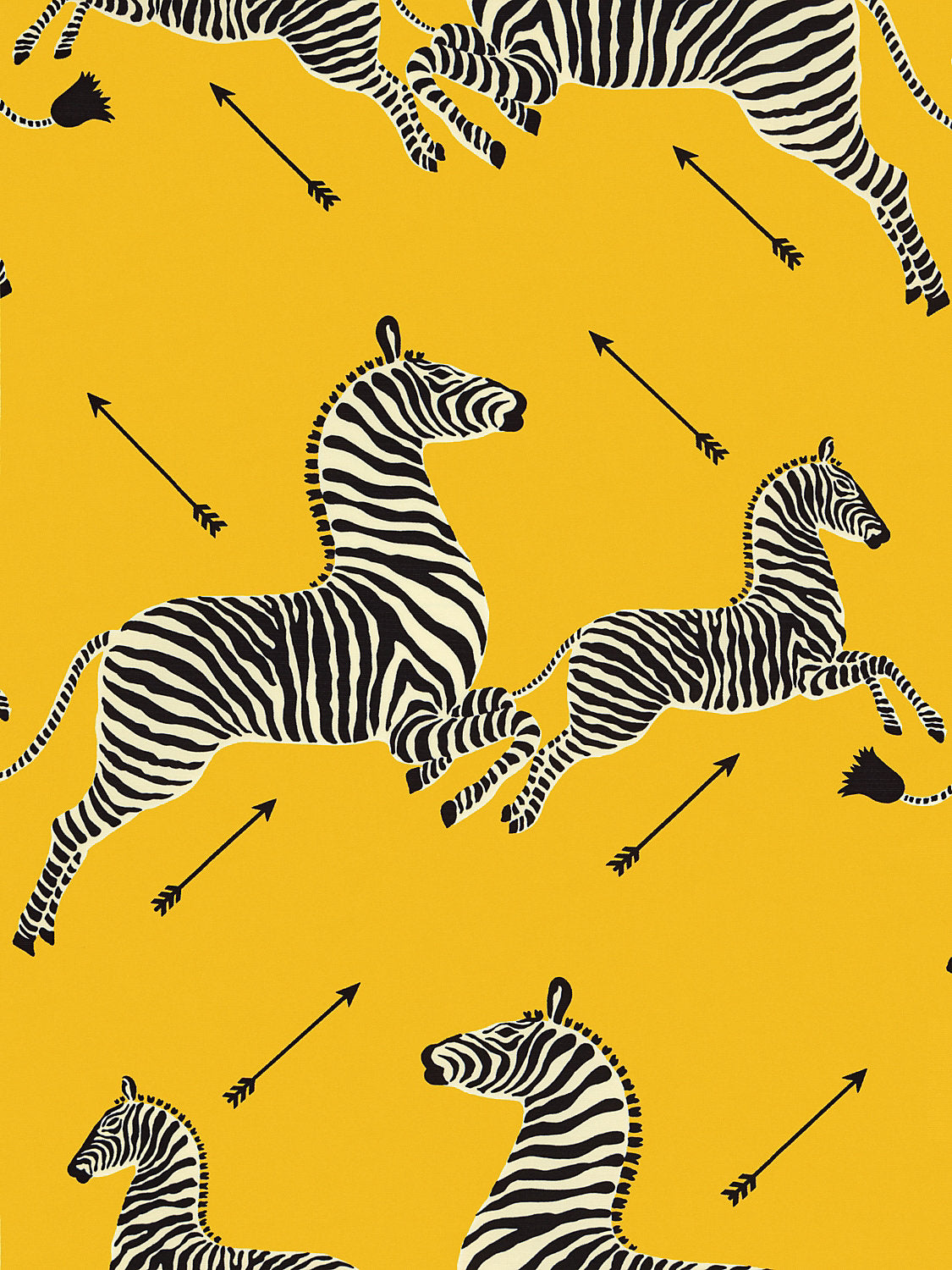 Zebras | Outdoor - Yellow