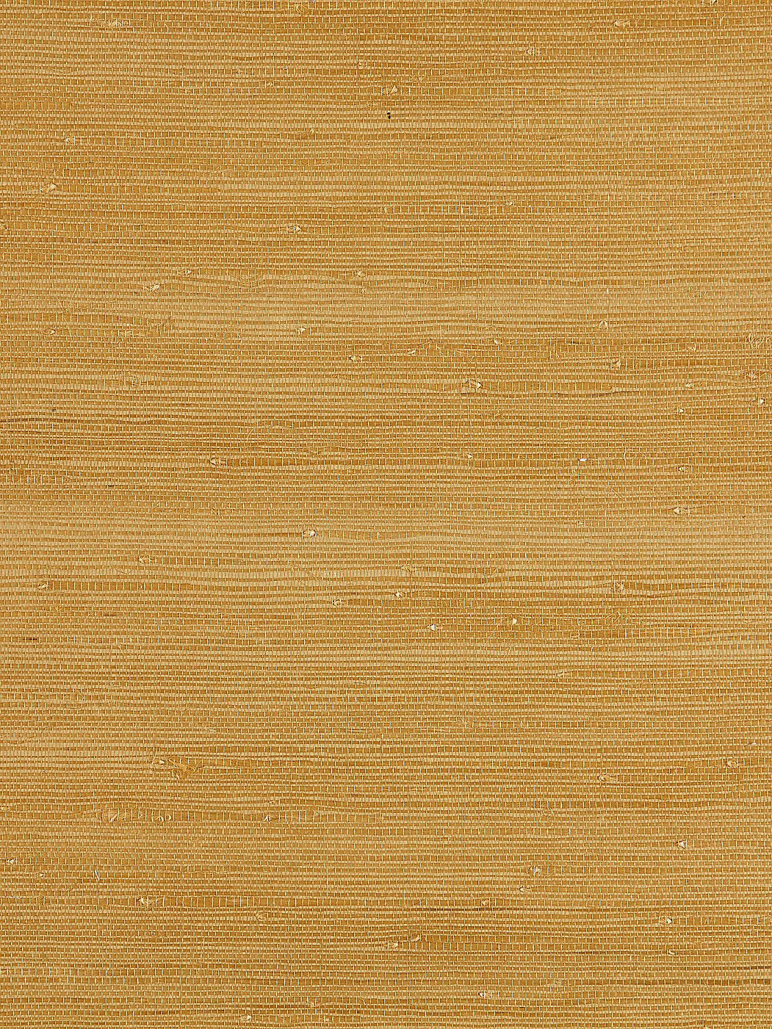 Textured Sisal - Saffron - Scalamandre Wallpaper