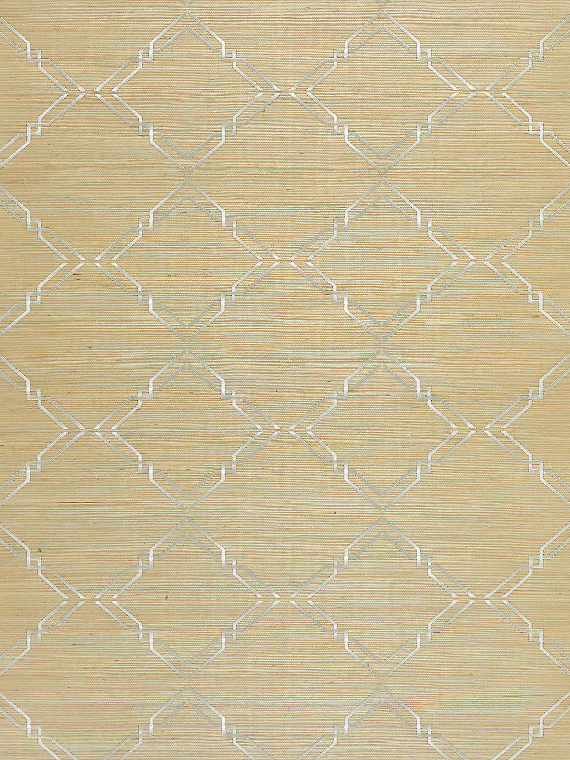 Monroe Embroidered Grasscloth - Papyrus
