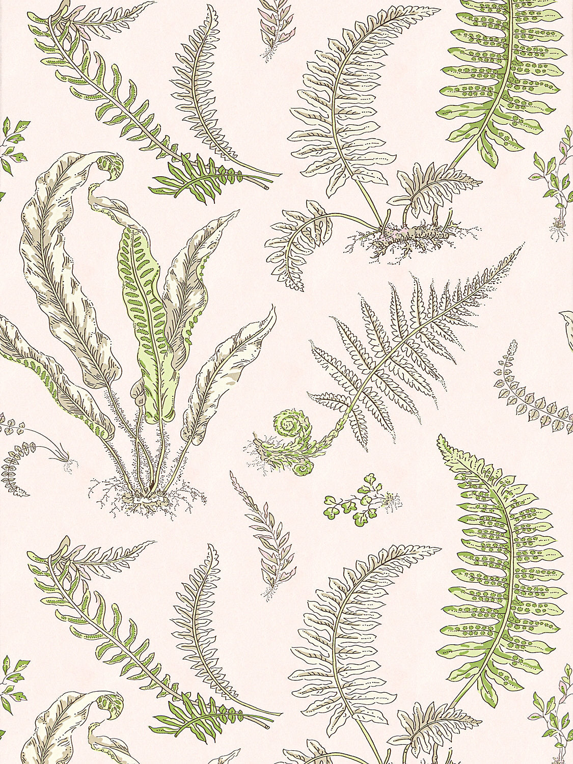 Elsie De Wolfe Wallcovering - Ballet Slipper - Scalamandre Wallpaper